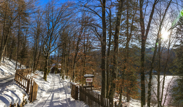 Бохинь_2015-0386 Panorama