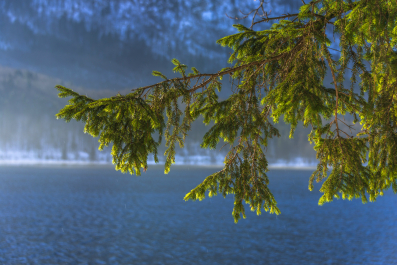 photo 980104