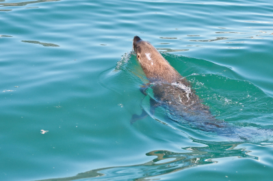 photo 994319