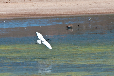 photo 998793