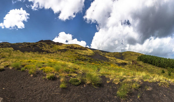 Etna-0128