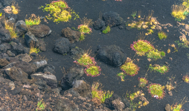 Etna-0112