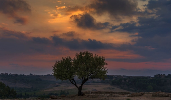 Agrigento-0520