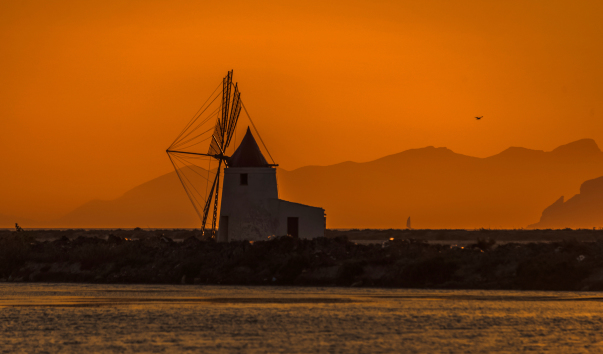 Trapani-0239