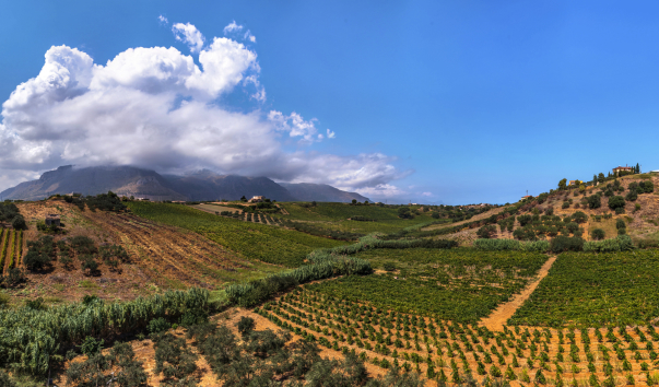 Segesta-0001 Panorama