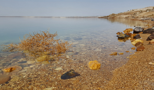 Jordan-0610