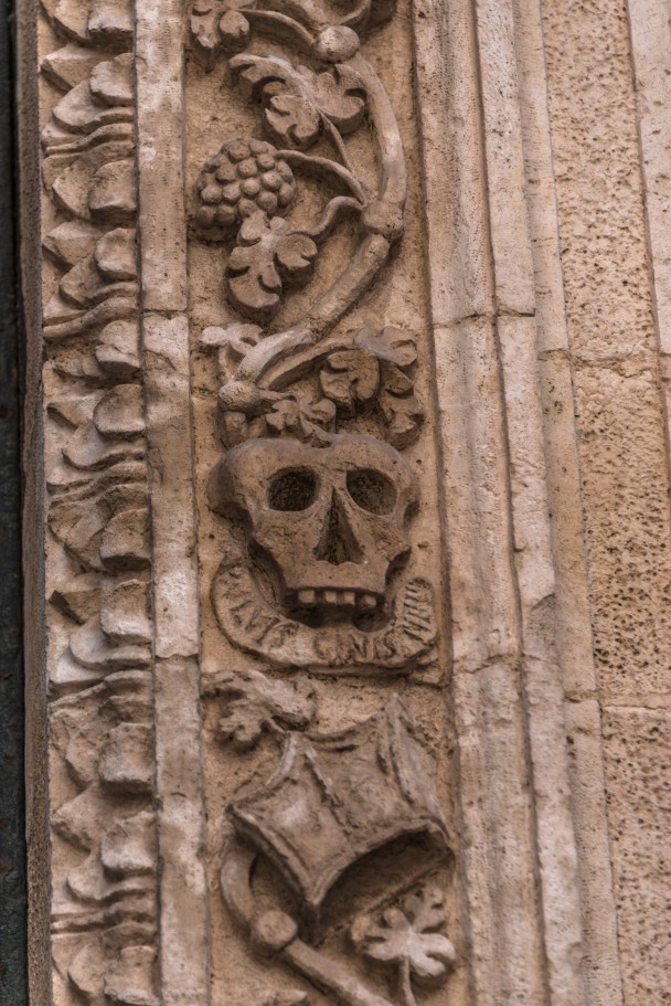 photo 1874764