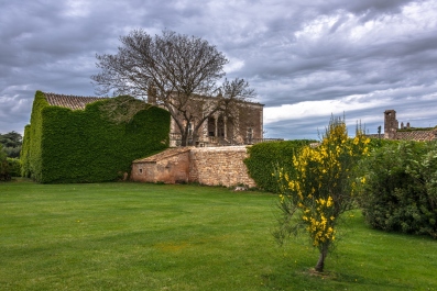 photo 1881365