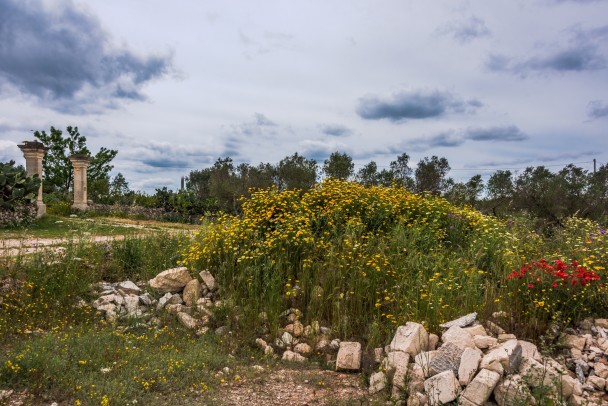 photo 1884754