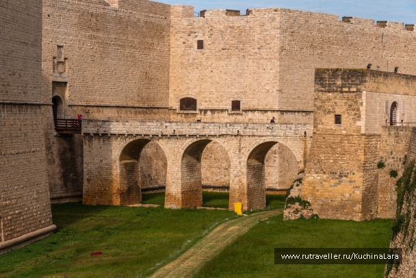 photo 1947245