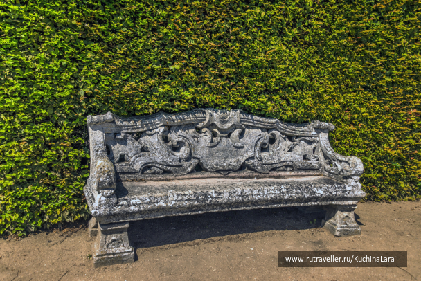 photo 2016216