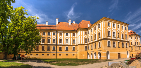 photo 2016221