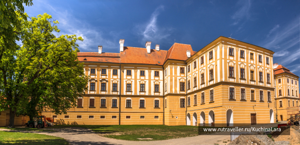 photo 2016221