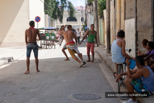 photo 254821