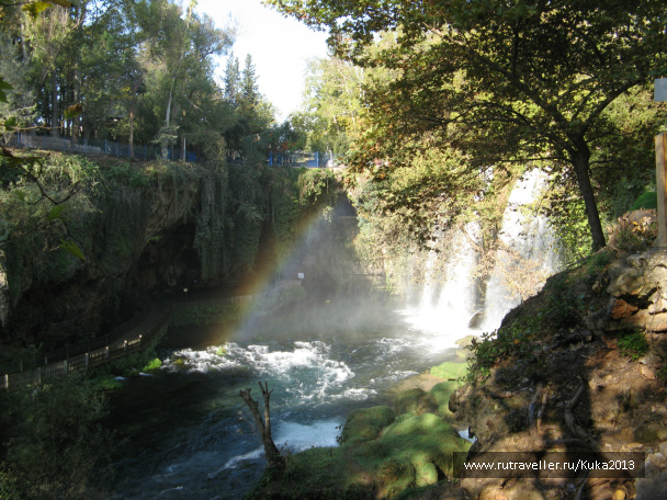 photo 264425