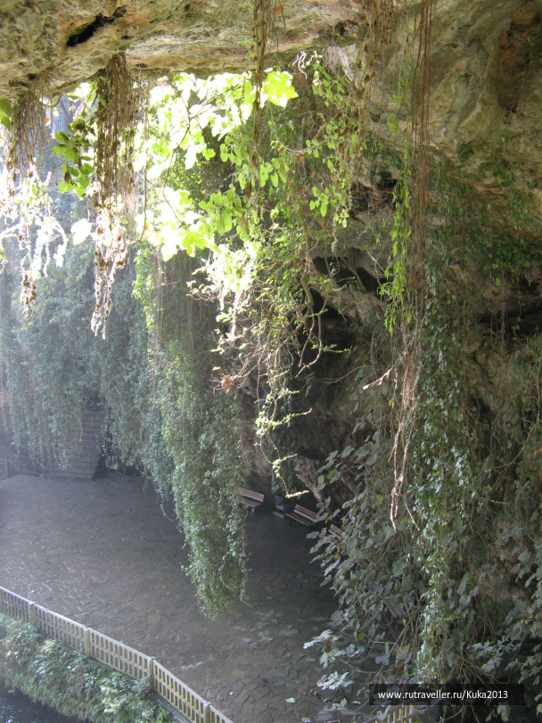 photo 264427