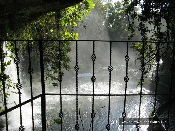 photo 264429