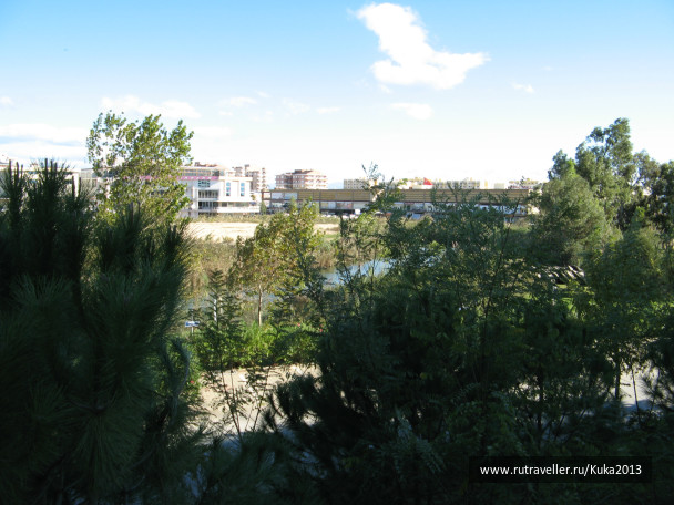 photo 264447