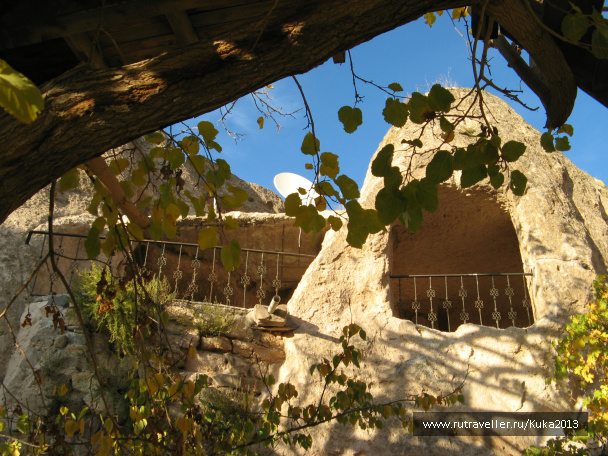 photo 264452
