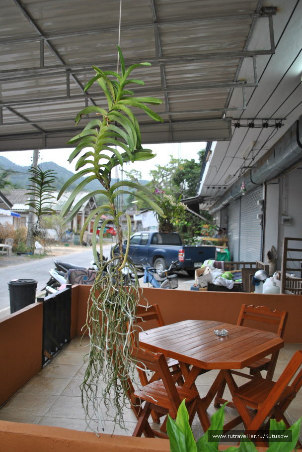 photo 299932