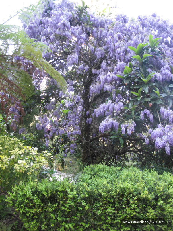photo 1478236