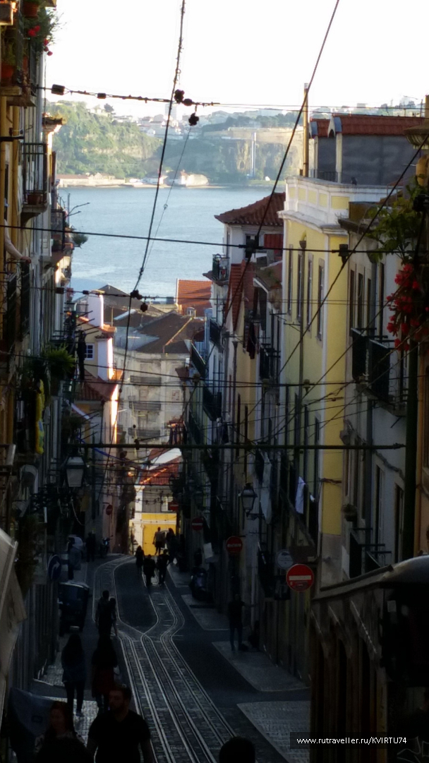 photo 1478279