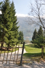 photo 772110