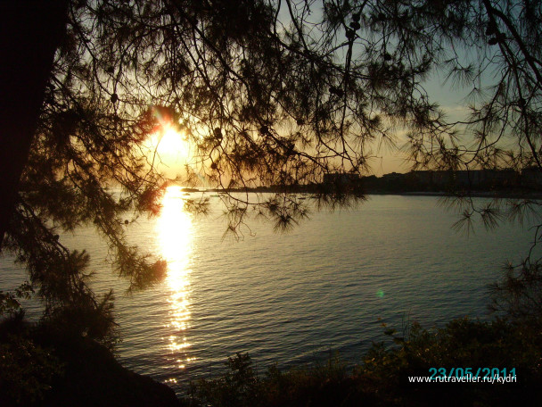 photo 419162