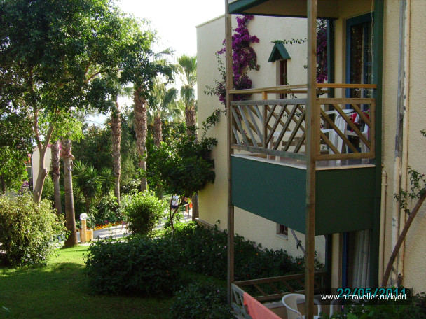photo 419172