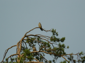 photo 169956