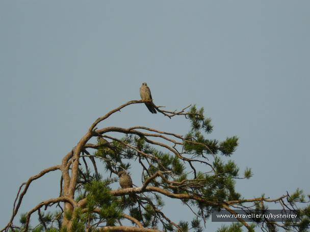 photo 169956