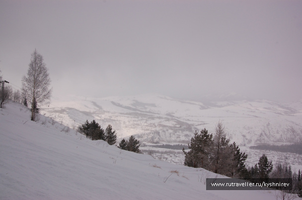 photo 169960