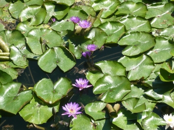 photo 746181
