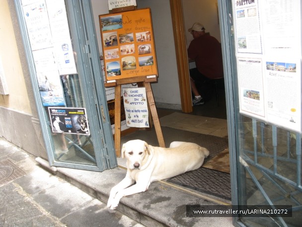 photo 92697