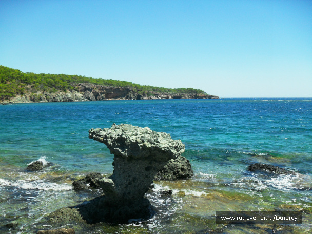 photo 455379