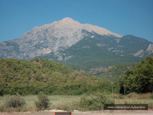 photo 455383