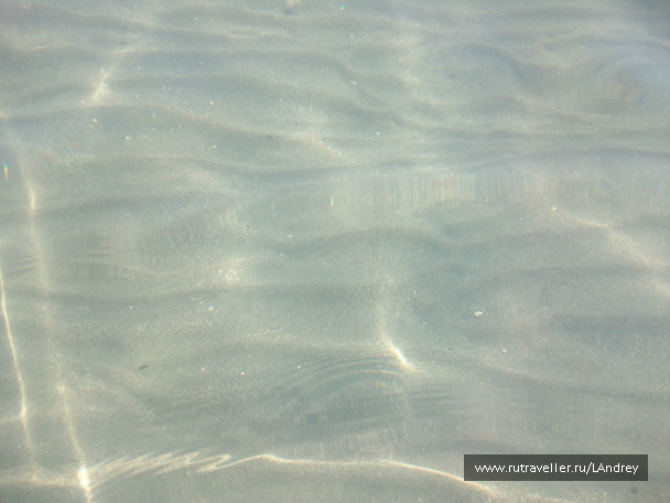 photo 484971