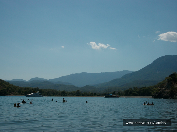 photo 486595