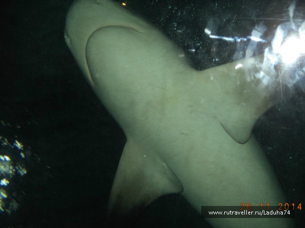 photo 924751
