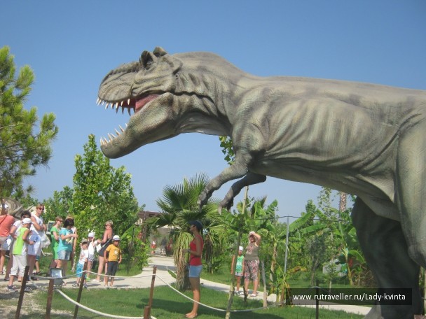 photo 1103763