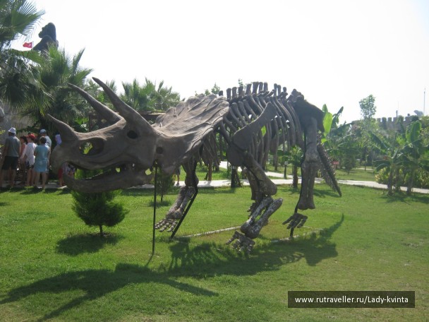photo 1103771
