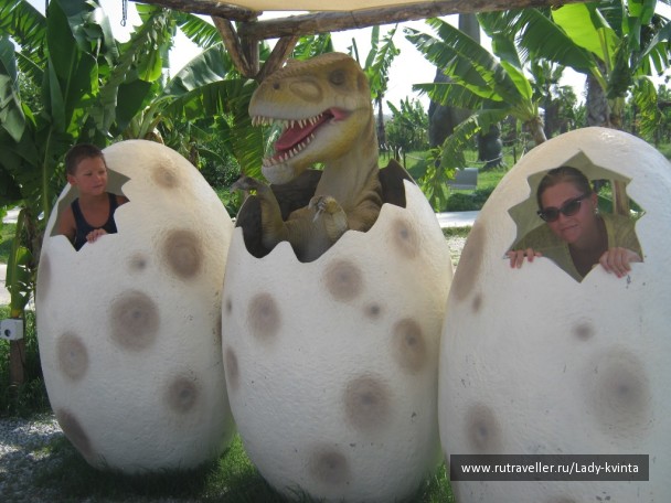 photo 1103772