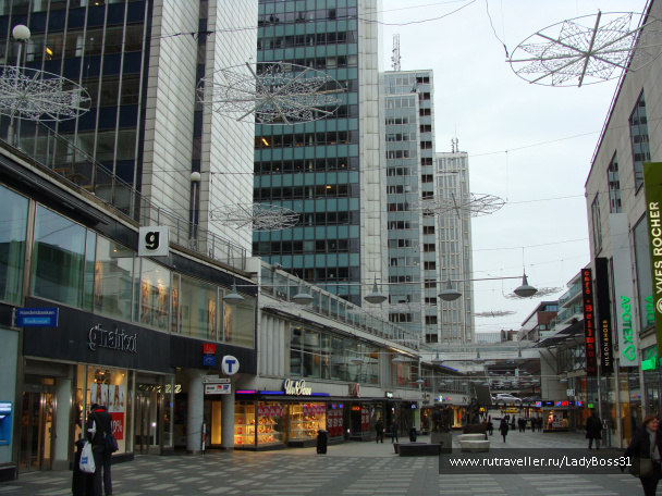 photo 248910