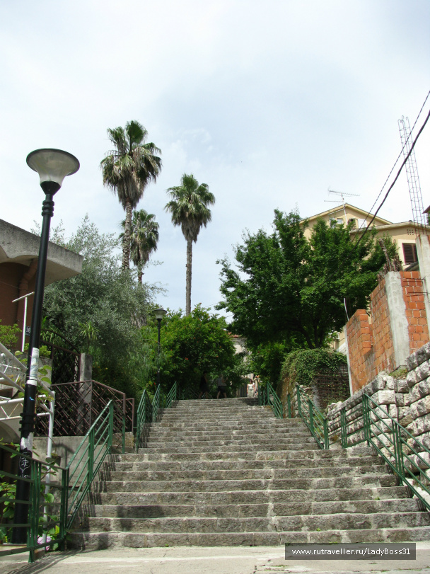 photo 248979