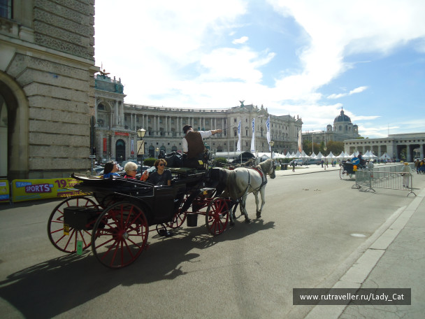 photo 1170339
