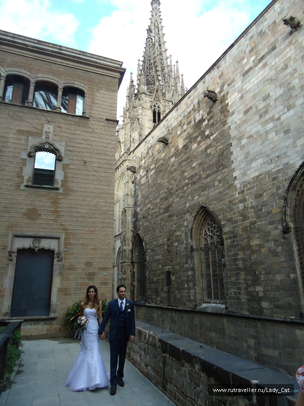 photo 1170105