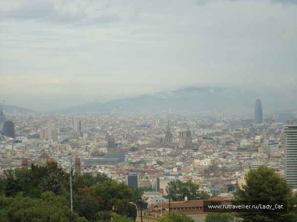 photo 1170115