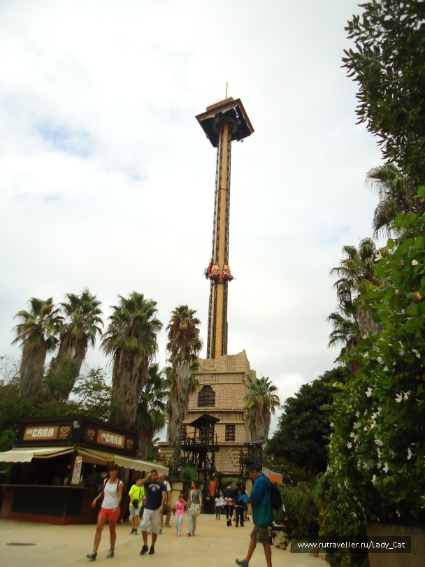 photo 1170174