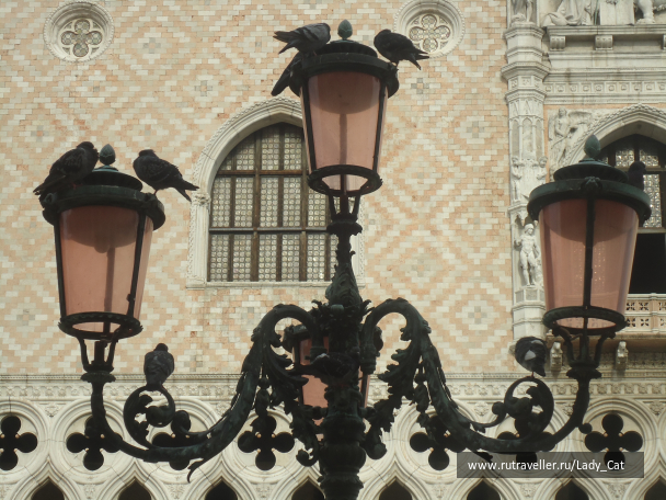 photo 1170315