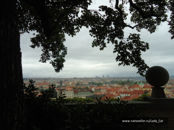 photo 1169806
